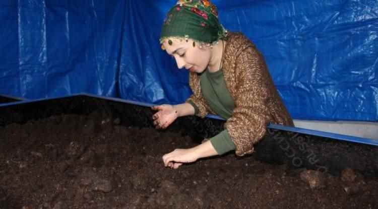 3 milyon solucanla gübre üreten çiftçi kadın