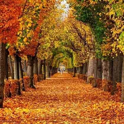 Autumn